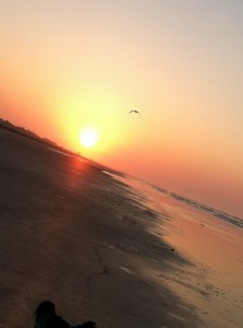 Vol 1 Iss 16 Article Kiawah beach angled sunrise w bird